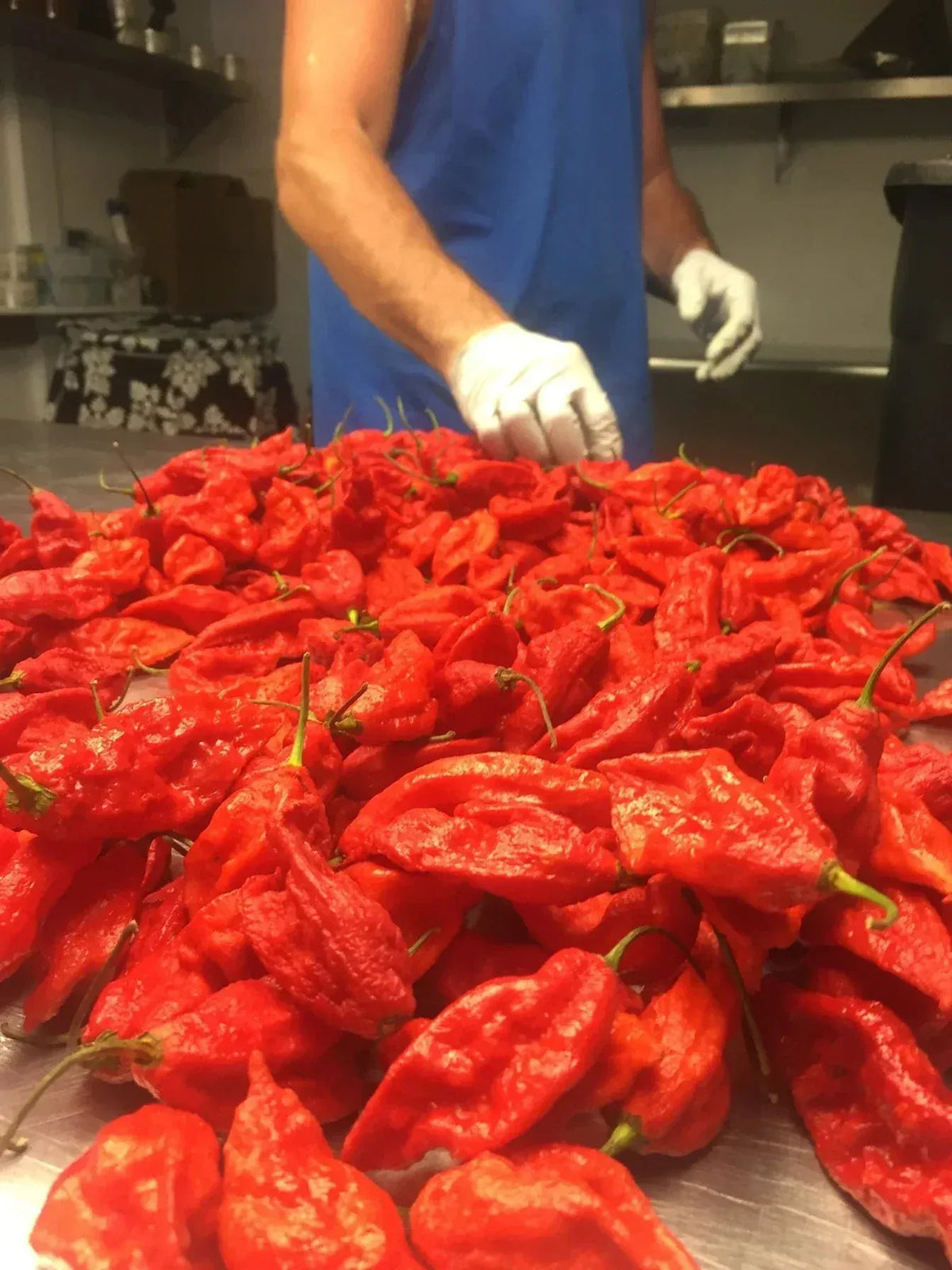 Hawaiian Chili Pepper Mango Garlic Ghost Sauce - Hawaiian Farmers Market{