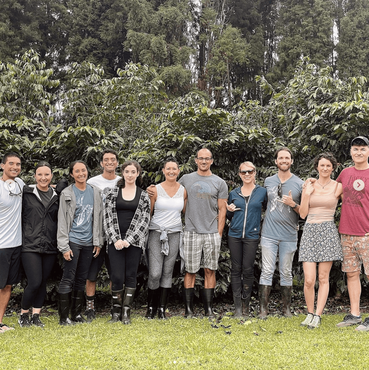 Latte Espresso Bites - Hawaiian Farmers Market{