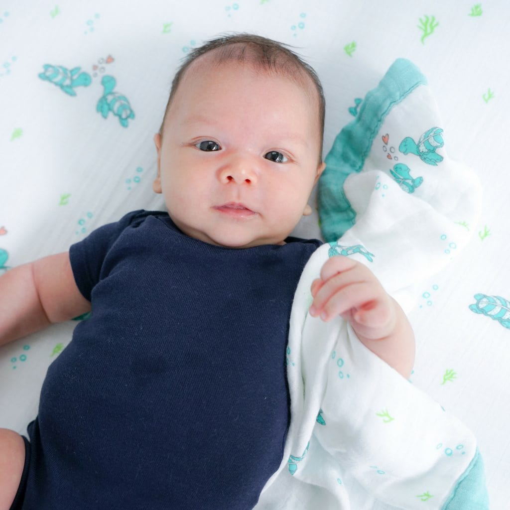 Security Blanket - Honu Honi - Hawaiian Farmers Market{