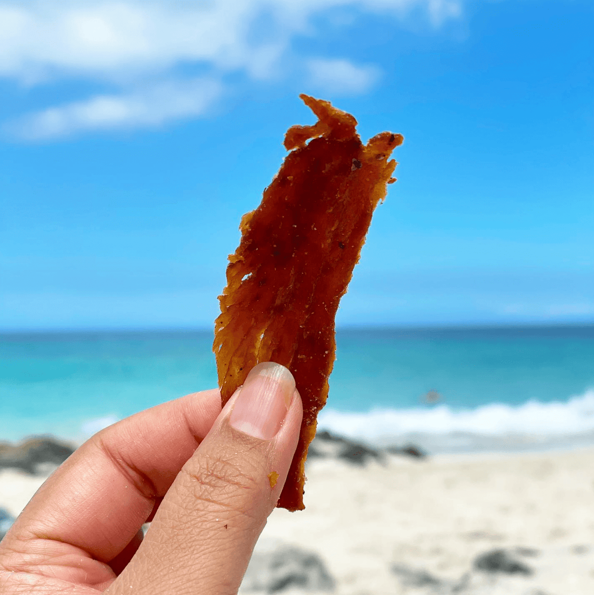 Lemon Salt Ahi Tuna Jerky 2oz - Hawaiian Farmers Market{
