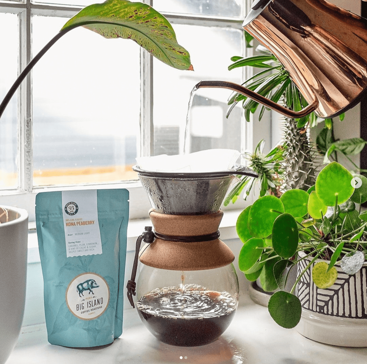 Ka&#39;u Darkwood Hawaiian Coffee 7oz - Hawaiian Farmers Market{